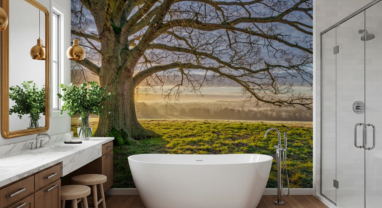Golden Dawn Oak Tree Wall Mural