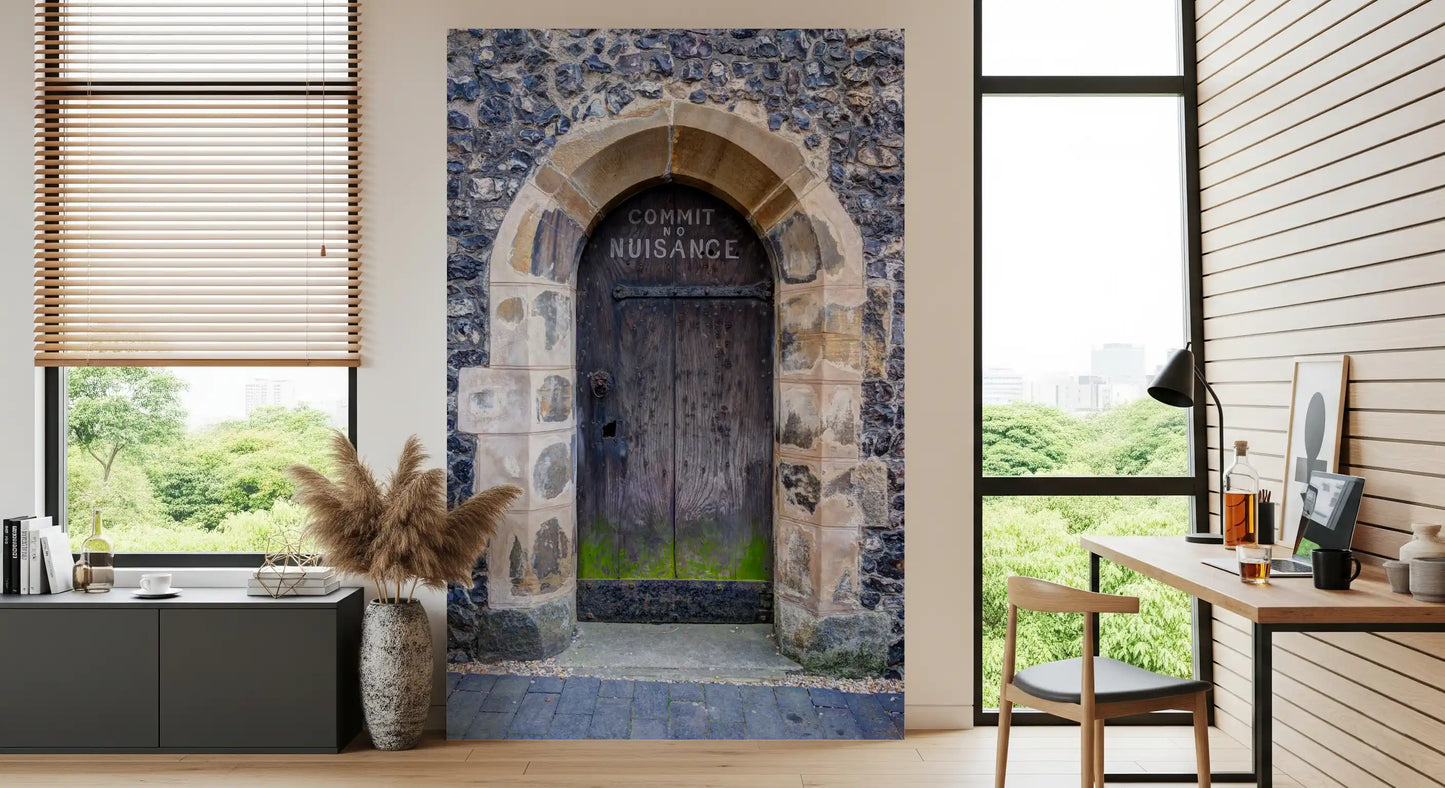 Vintage urban wall mural featuring a classic arched entrance