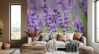 Botanical wall mural with lavender flowers and pastel tones