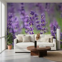 Lavender bloom wall mural with soft lilac and green shades