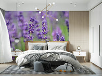 Lavender botanical wall mural with calming pastel colours
