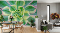 Green succulent wall mural with soft natural plant tones