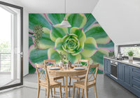 Desert garden wall mural with soft green succulent plants
