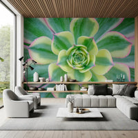 Succulent plant wall mural featuring layered foliage details