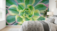 Botanical wall mural featuring detailed succulent leaf textures