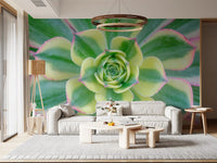 Nature wall mural showcasing lush succulent arrangements