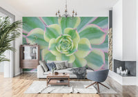 Botanical foliage wall mural with natural succulent textures