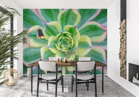 Botanical wall mural with sage green succulent leaves