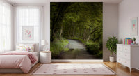 Woodland landscape wall mural featuring a peaceful pathway