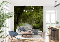 Woodland trail wall mural featuring dense trees and foliage