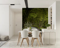 Scenic woodland wall mural with a winding walking trail