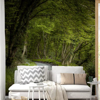 Forest pathway wall mural with lush greenery and sunlight