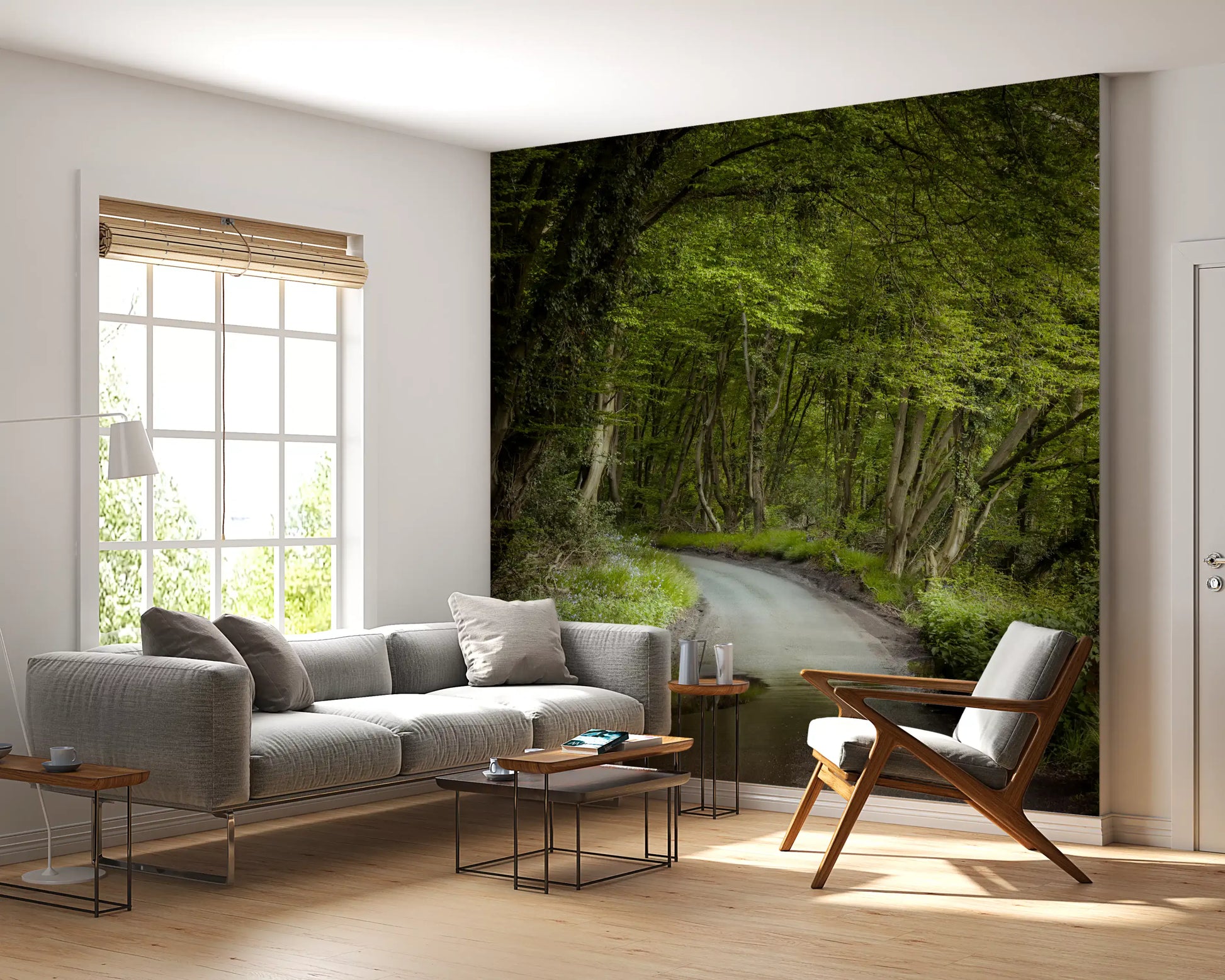 Enchanted forest wall mural with sunlit woodland scenery
