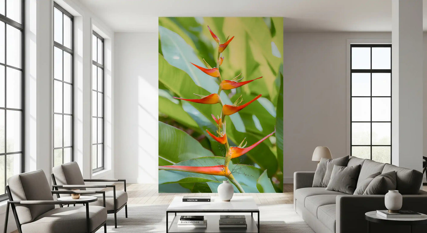 Heliconia's Fiery Bloom Wall Mural