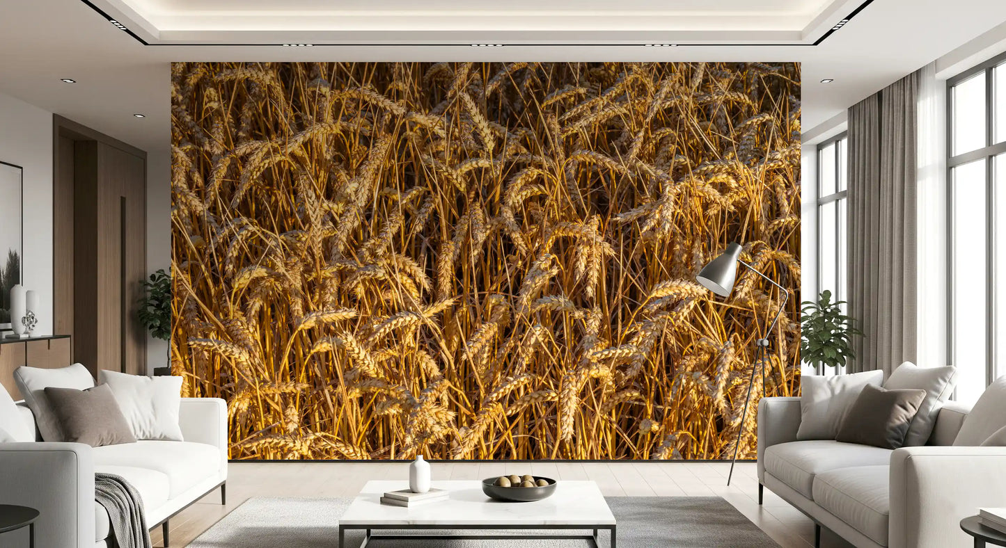 Golden Harvest Field Wall Mural