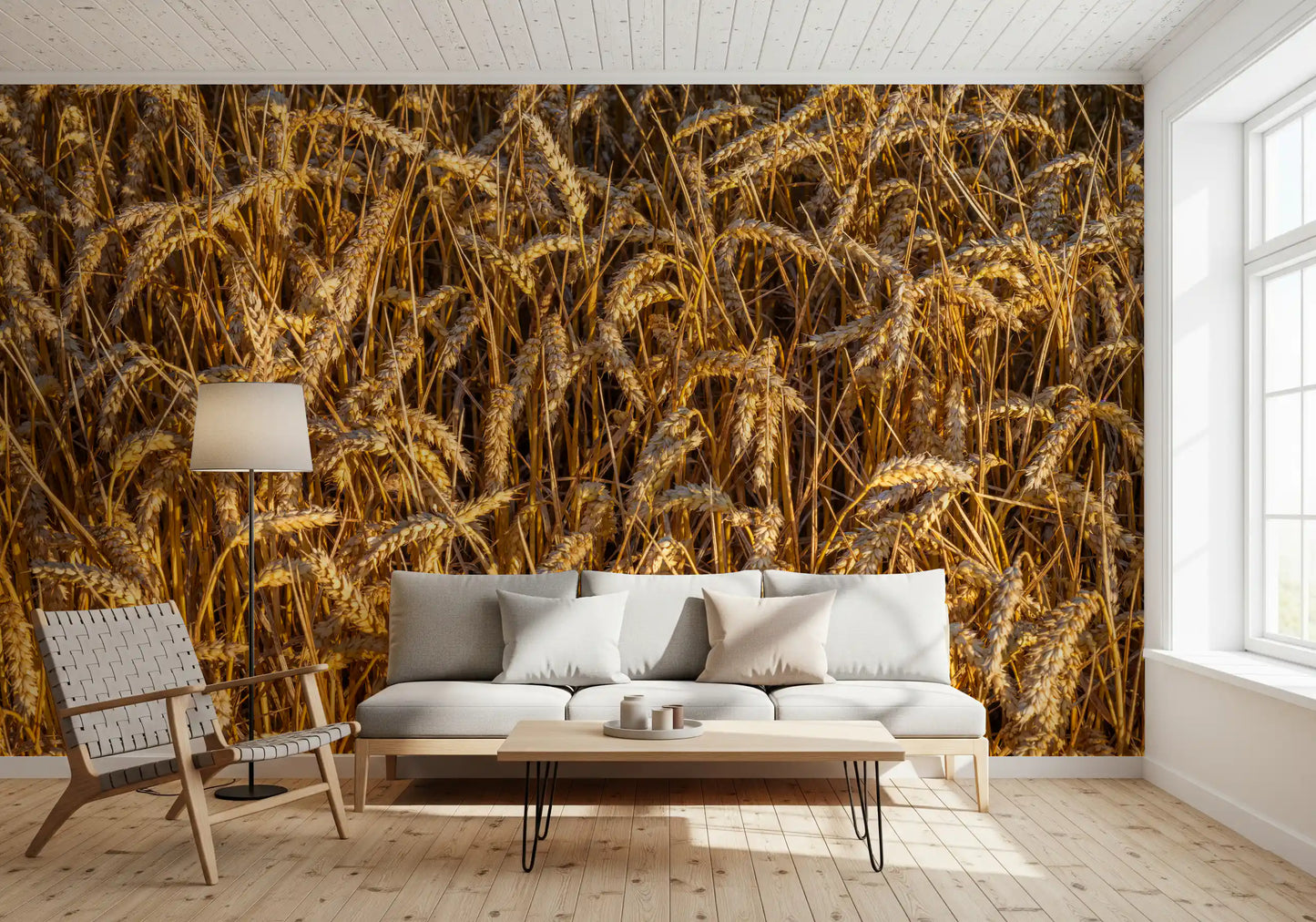 Golden Harvest Field Wall Mural