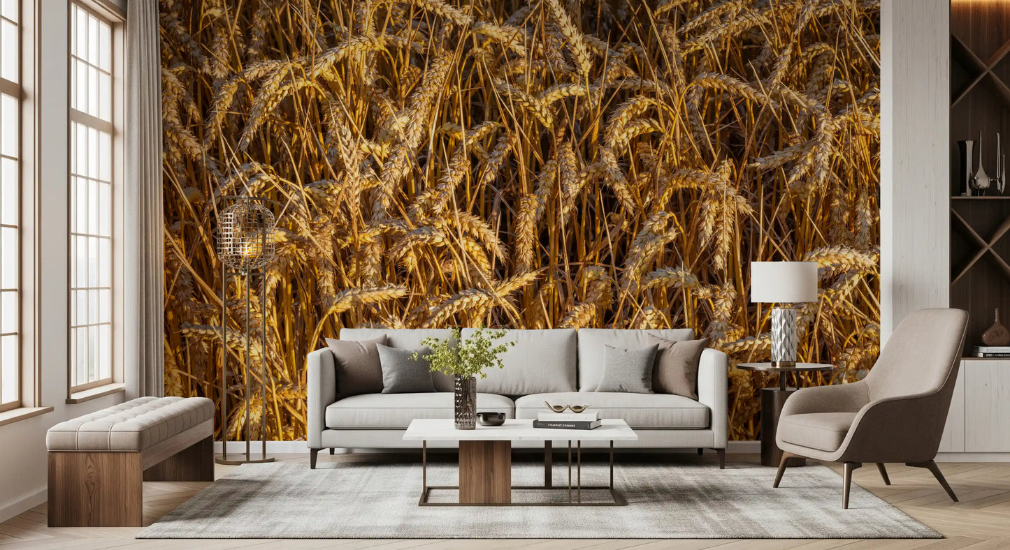 Golden Harvest Field Wall Mural