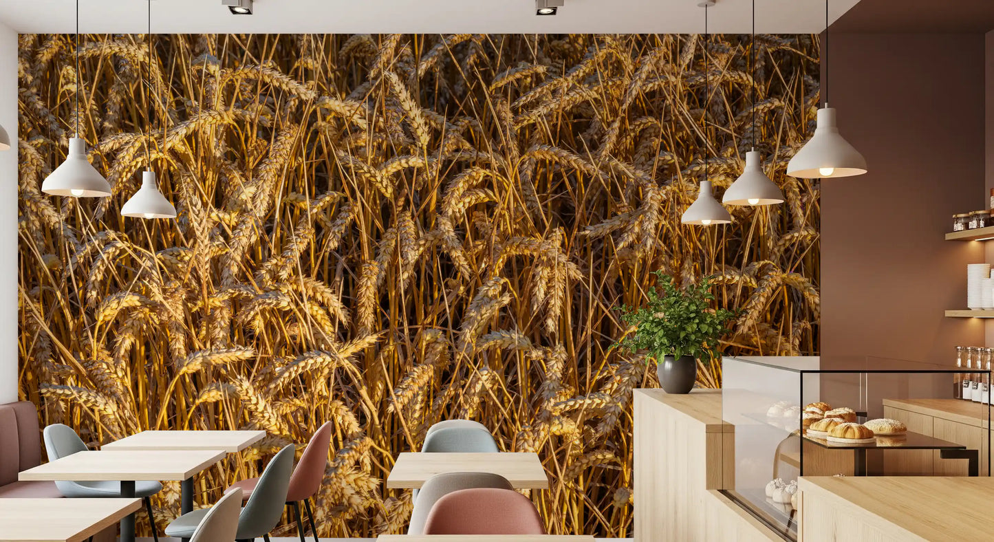 Golden Harvest Field Wall Mural