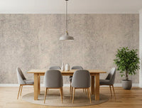 Aged Concrete Plaster Textured Wallpaper Wall Mural