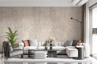 Aged Concrete Plaster Textured Wallpaper Wall Mural