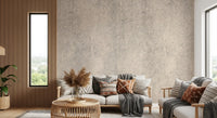 Aged Concrete Plaster Textured Wallpaper Wall Mural