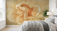 Soft Peach Ruffled Blooms Wall Mural