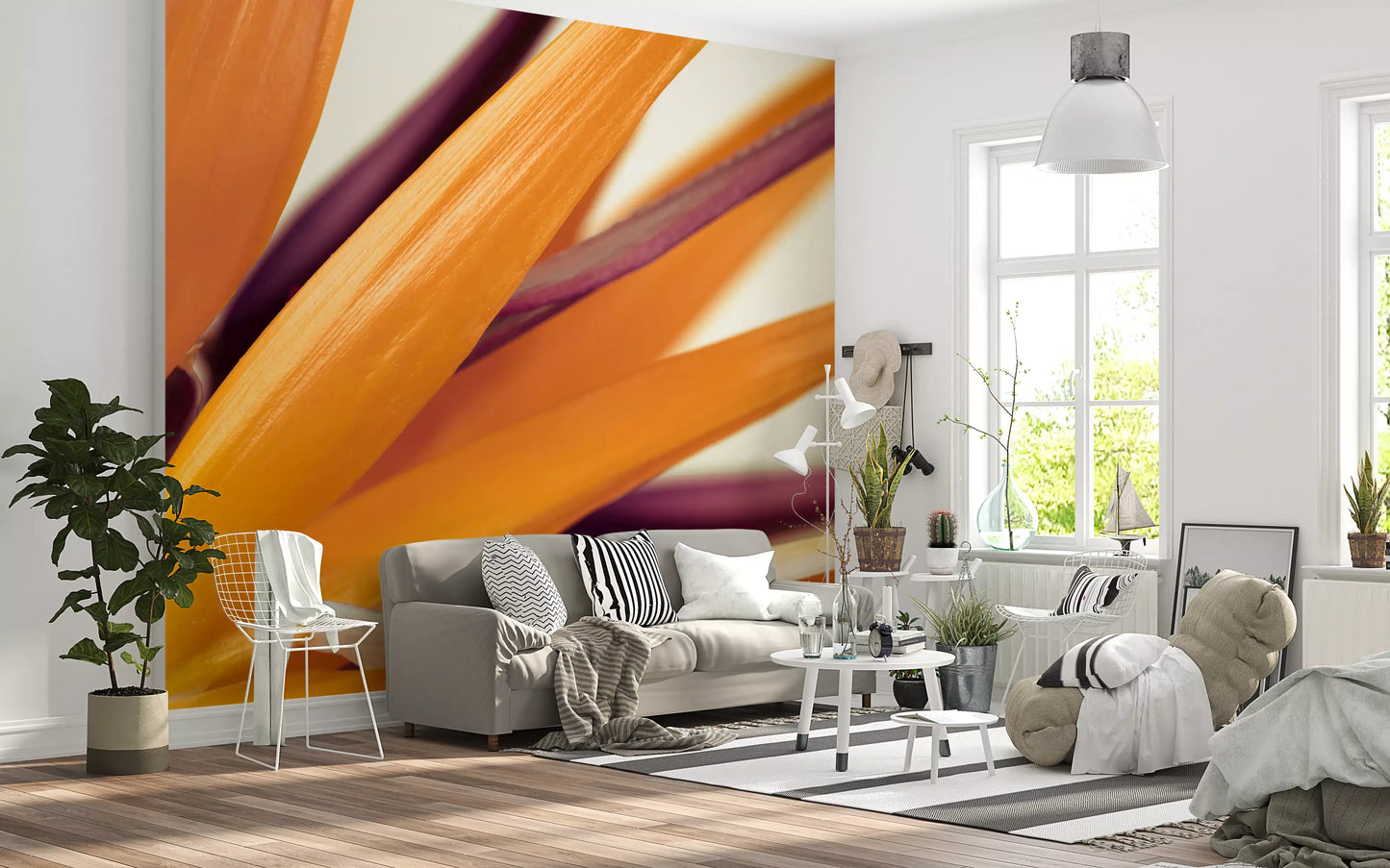 Vibrant Bird of Paradise Botanical Wall Mural Wall Mural