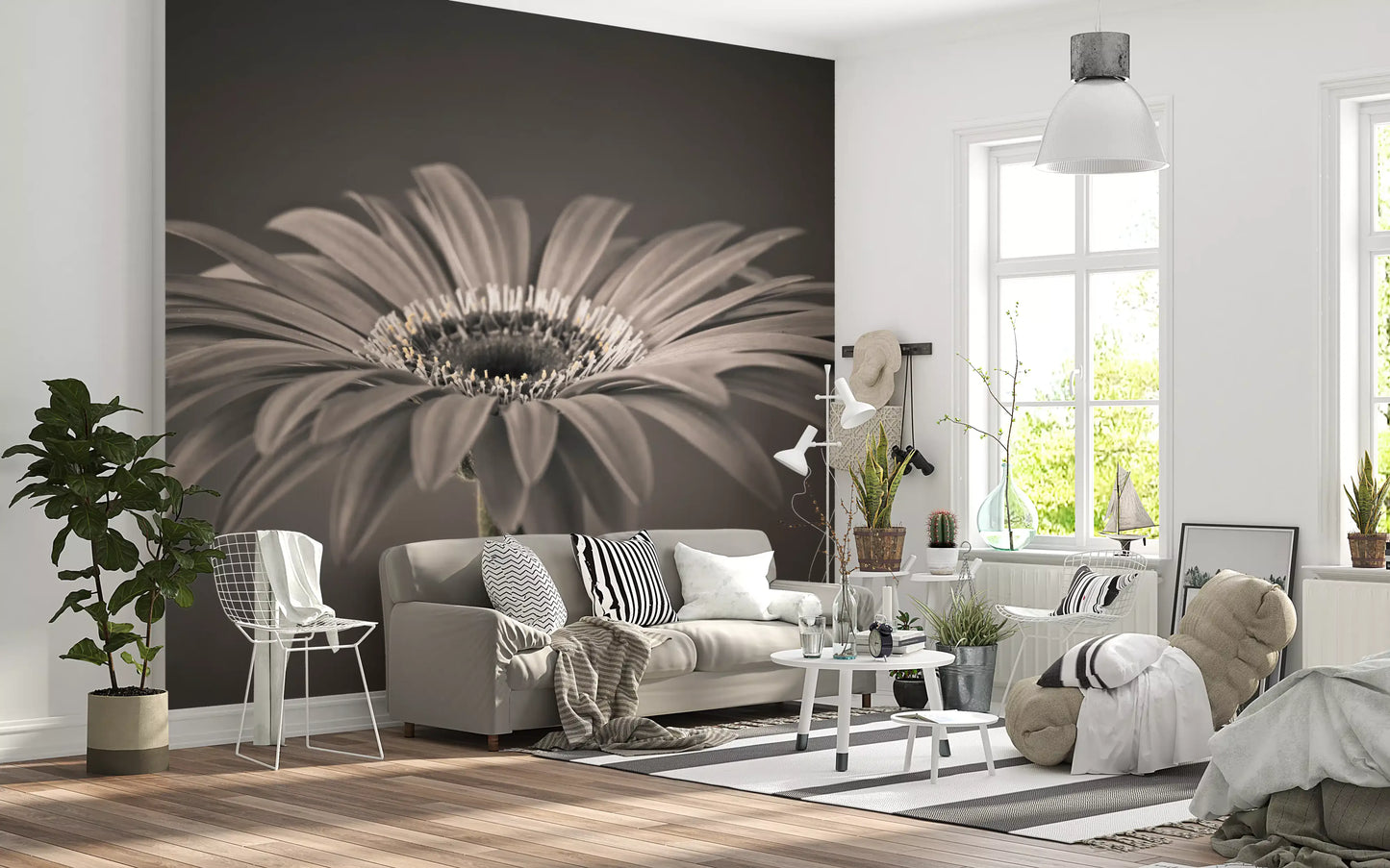 Serene Sepia Gerbera Daisy Macro Wall Mural