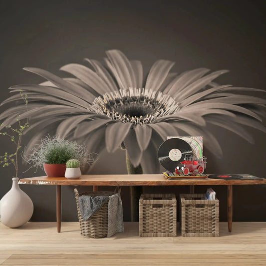 Single daisy bloom in sepia warms a hallway  wall mural GD10920
