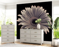 Petals of the Midnight Gerbera Wall Mural