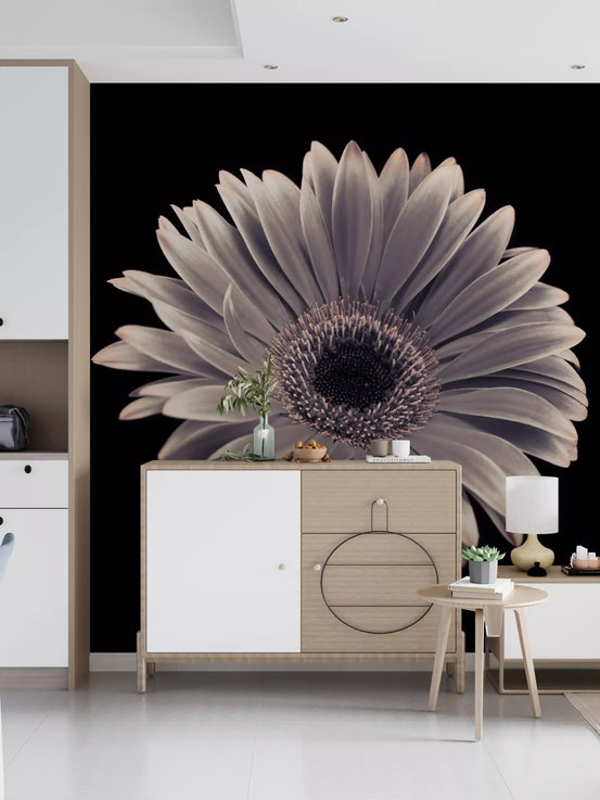 Midnight gerbera bloom warms a modern kitchen corner area wall mural GD10925
