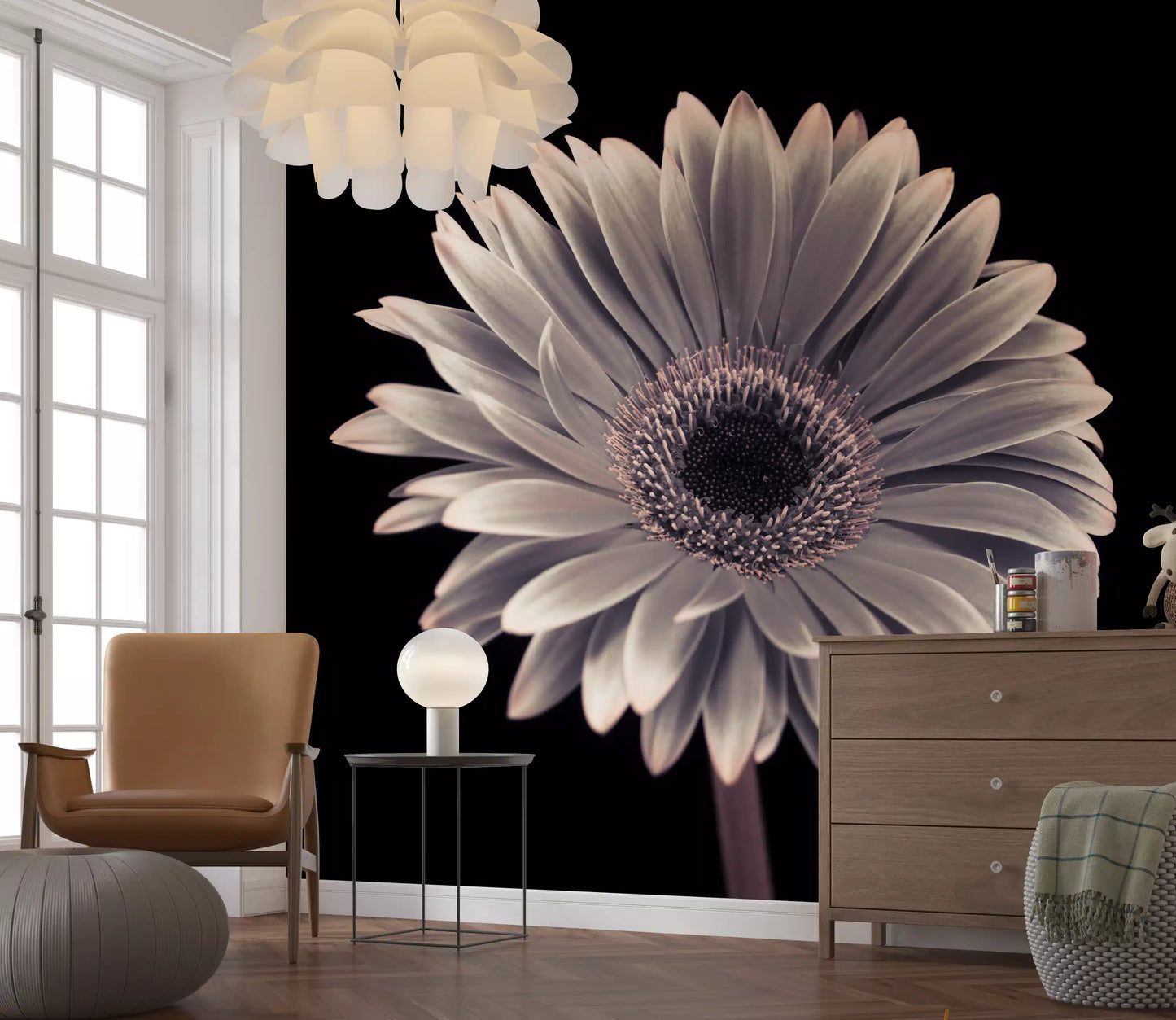 Petals of the Midnight Gerbera Wall Mural