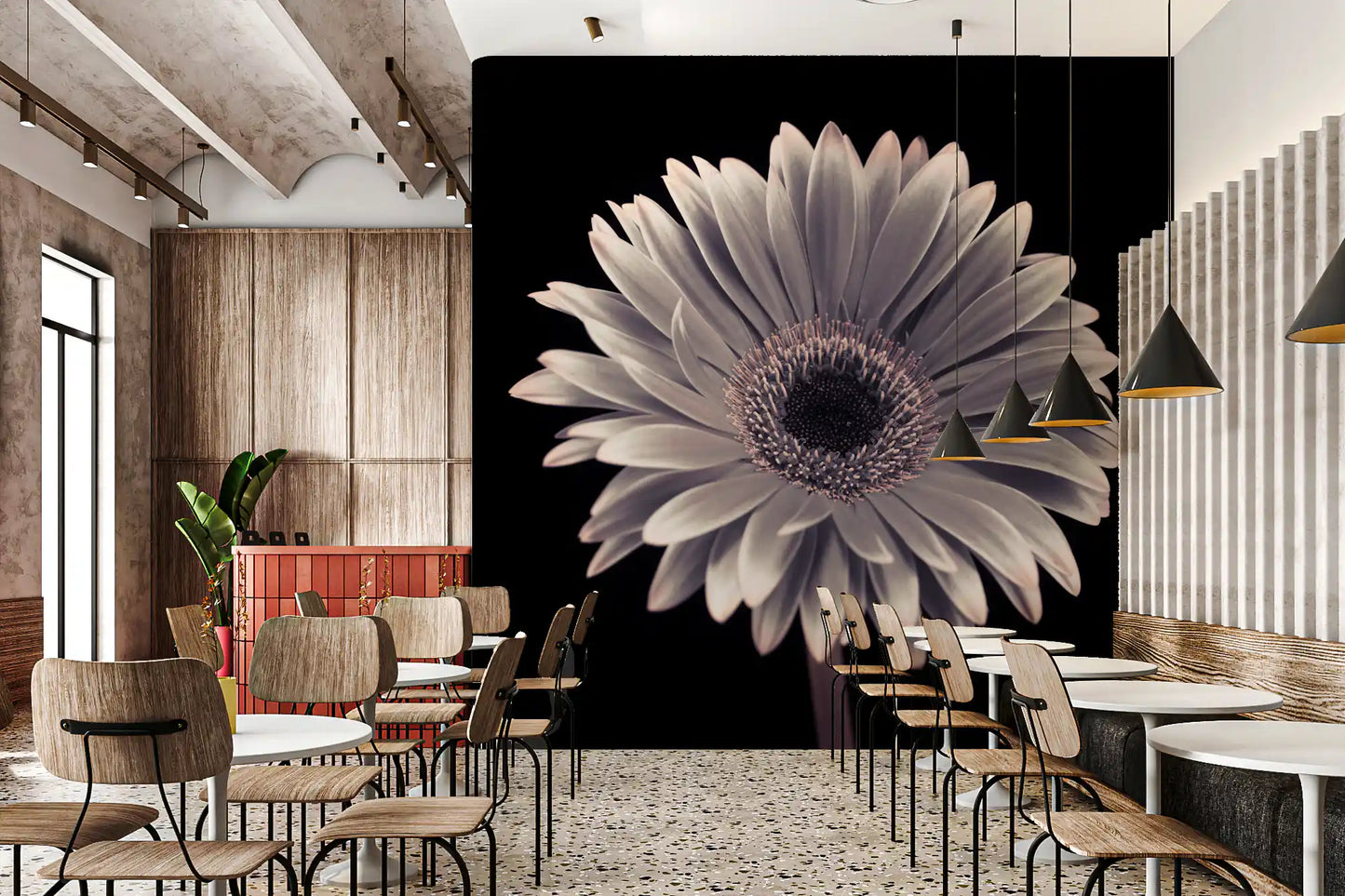 Petals of the Midnight Gerbera Wall Mural