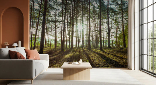 Sunlit Pine Forest Morning Wall Mural