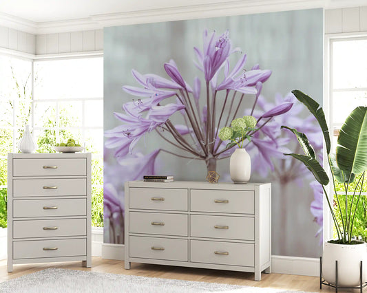 Serene Lilac Agapanthus Blossoms Wall Mural
