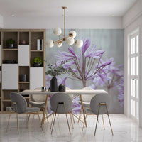 Serene Lilac Agapanthus Blossoms Wall Mural
