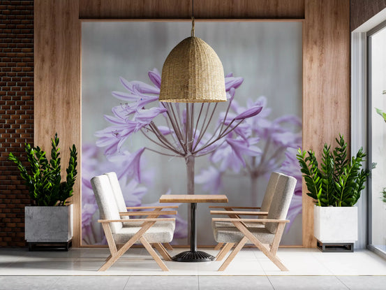 Pale purple blooms over a calm Dining room, Lilac Agapanthus wall mural GD10944
