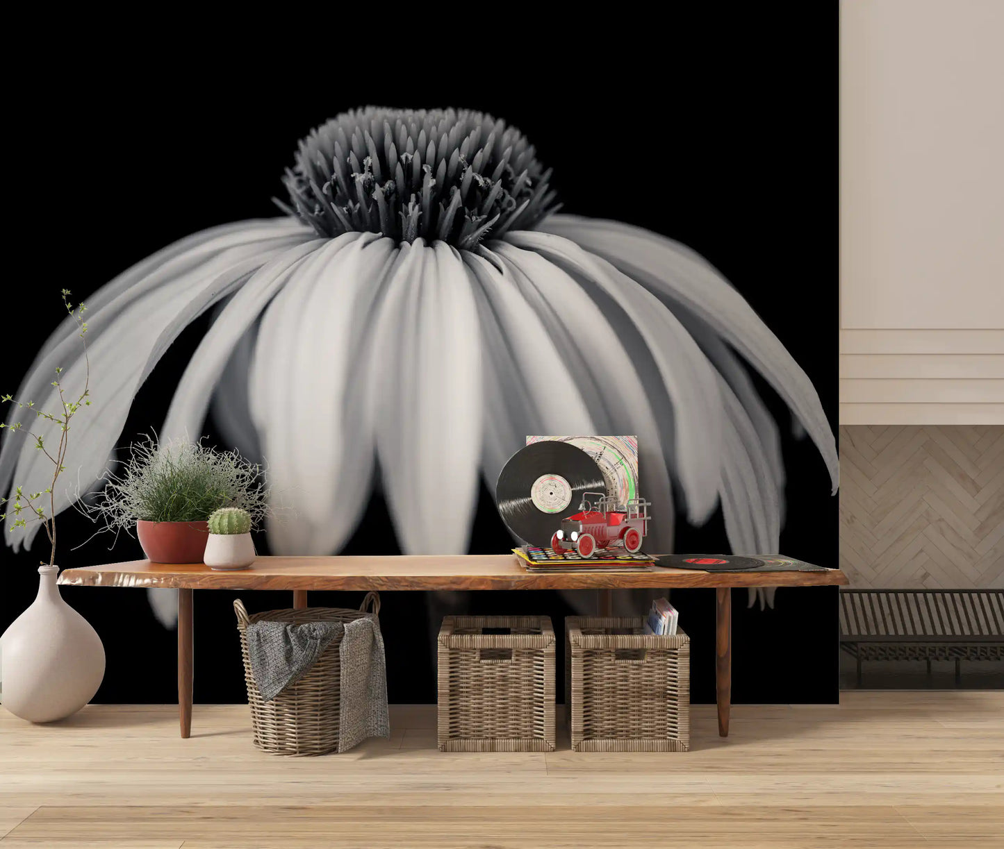 Monochrome Echinacea Bloom Wall Mural