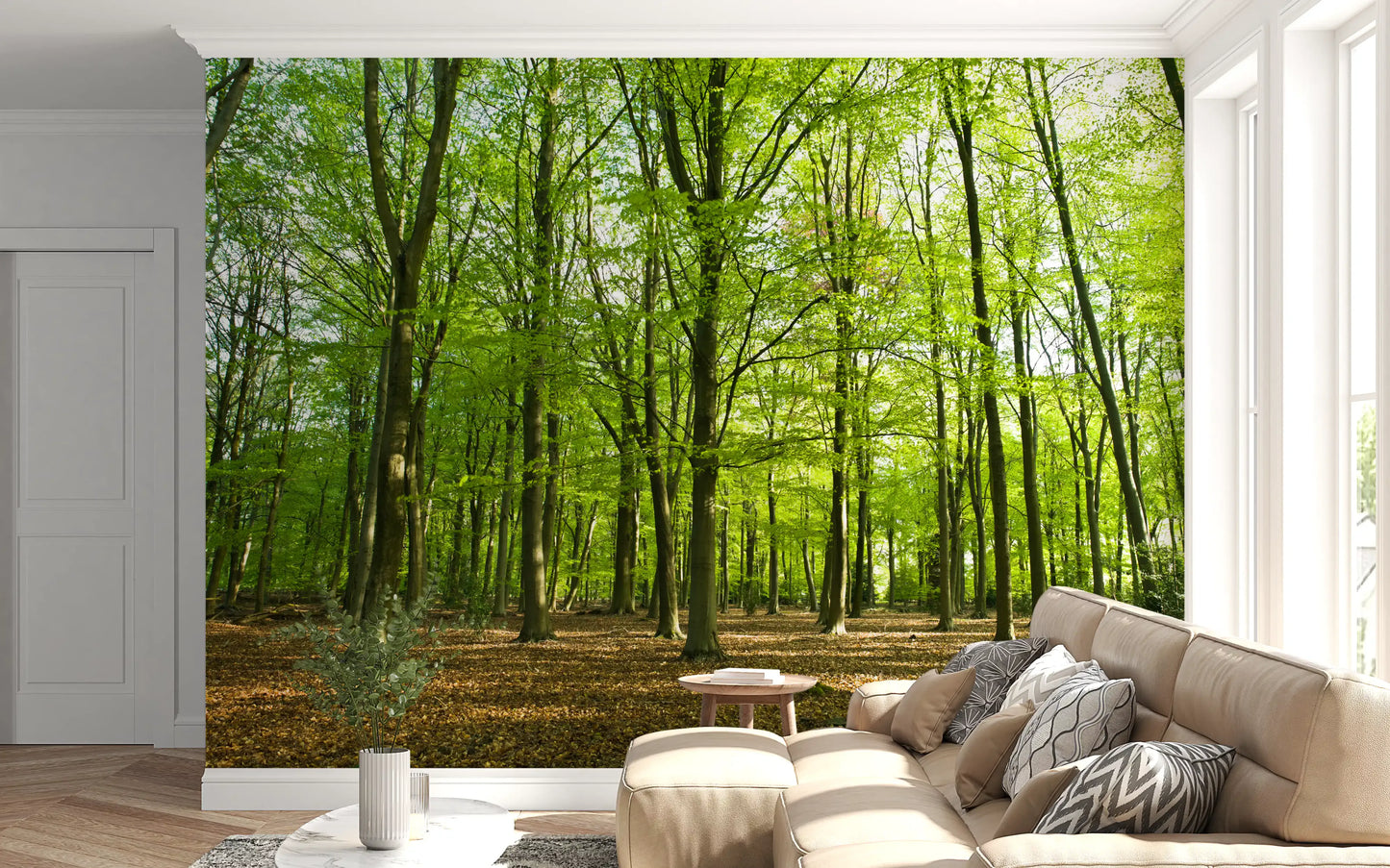 Sunlit Spring Beech Grove Wall Mural