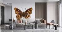 Amber Winged Monarch Wall Mural