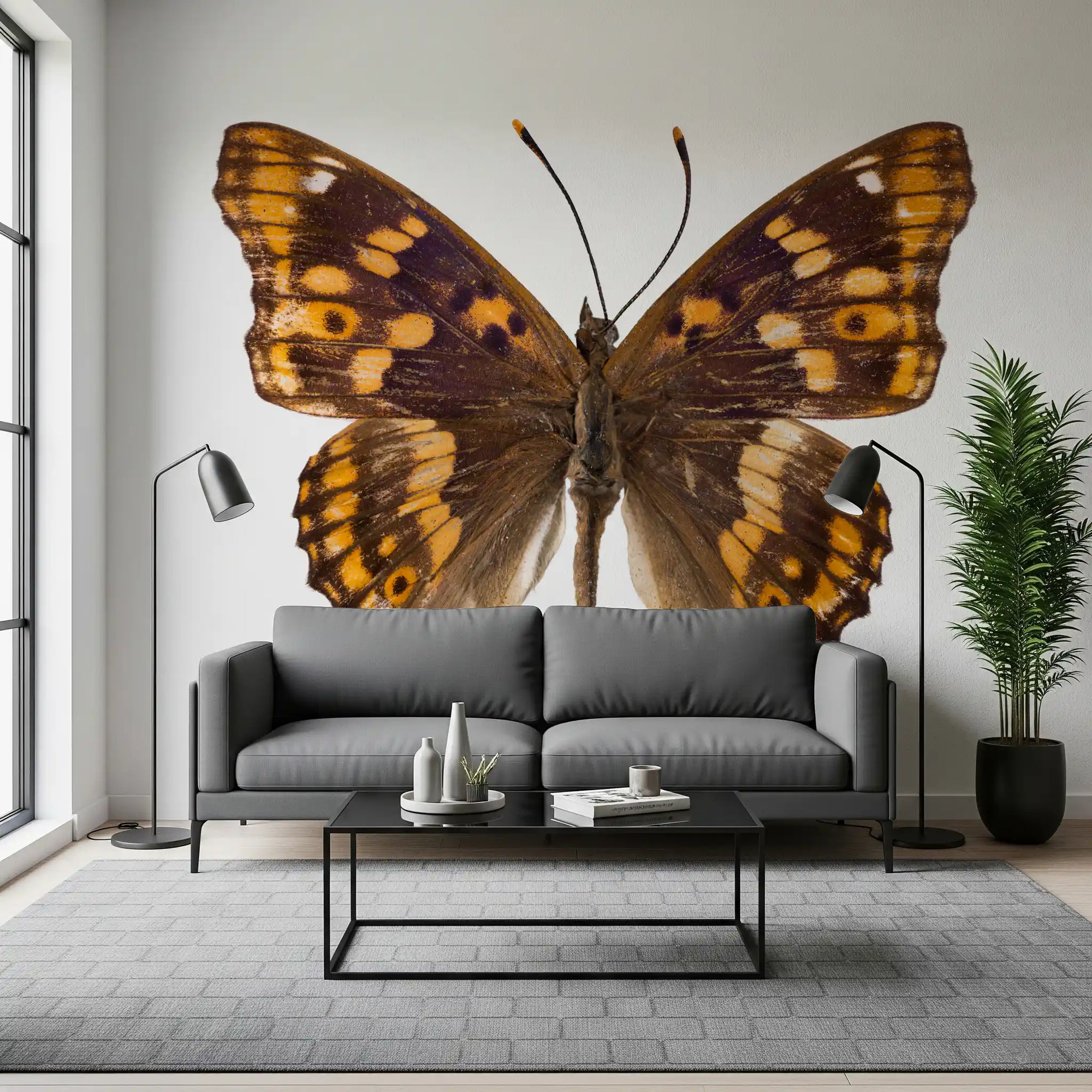 the Amber Winged Monarch butterfly warming a living room Wall mural GD11146
