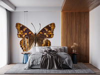 Amber Winged Monarch Wall Mural