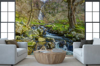 Cascading Highland Waterfall Stream Wall Mural
