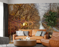Autumn Canal Reflections Wall Mural