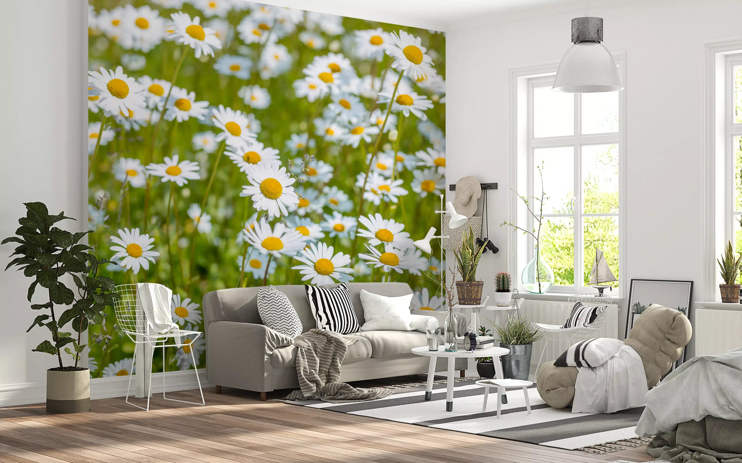 Sunlit Daisy Meadow Wall Mural