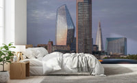 London Metropolitan Skyline Vista Wall Mural