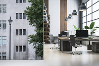 Urban Facade Geometry Wall Mural
