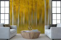 Golden Aspen Forest Motion Wall Mural