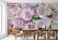 Soft Blush Rose Garden Wall Mural