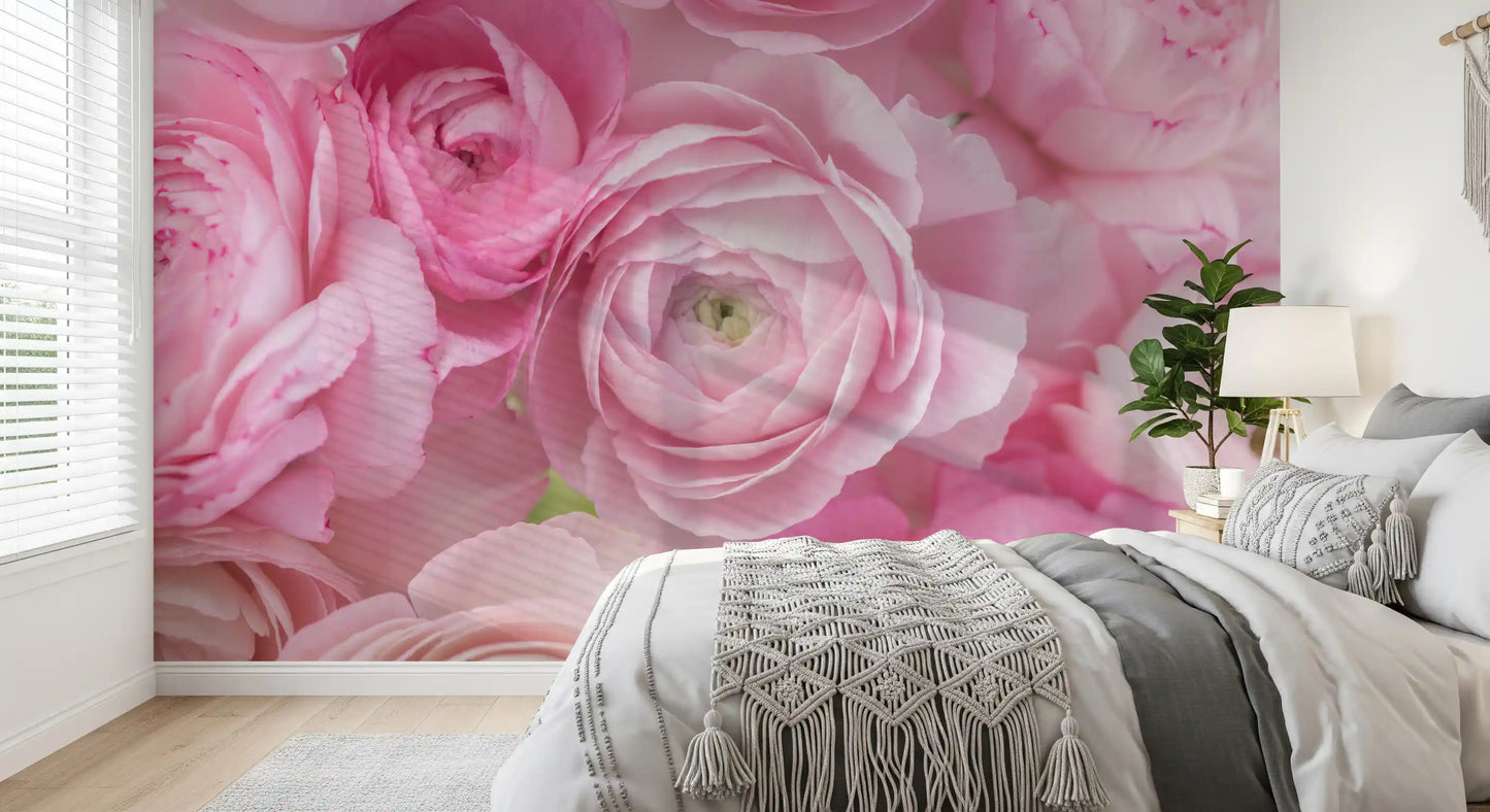 Soft Pink Ranunculus Bloom Wall Mural